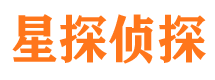 平山市侦探公司